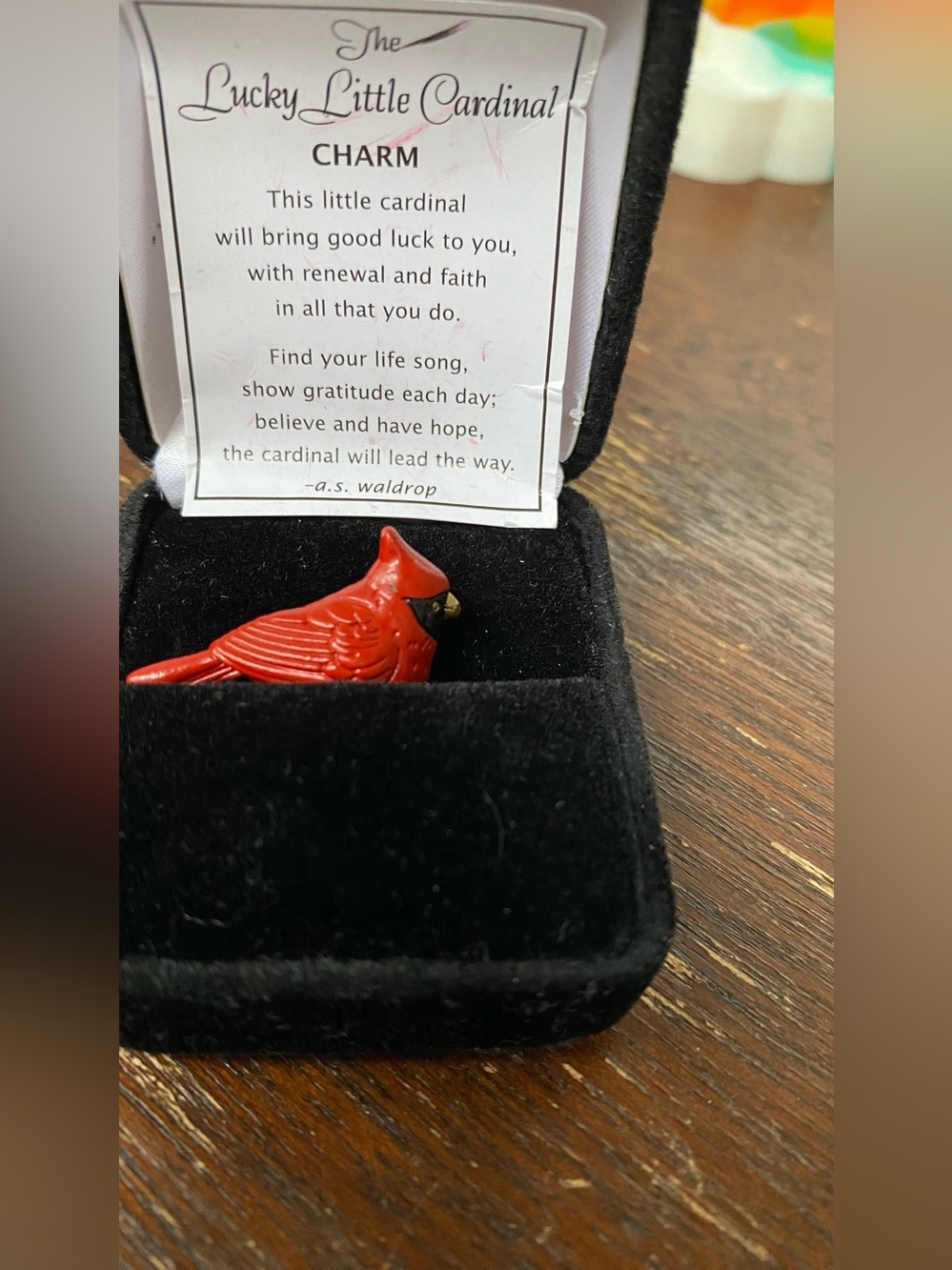 The Lucky Little Cardinal Charm